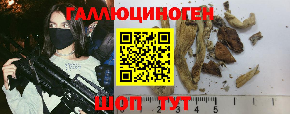 Ногинск  Псилоцибиновые грибы Psilocybine cubensis  Вход с VPN  Галлюциногенные грибы Psilocybe 